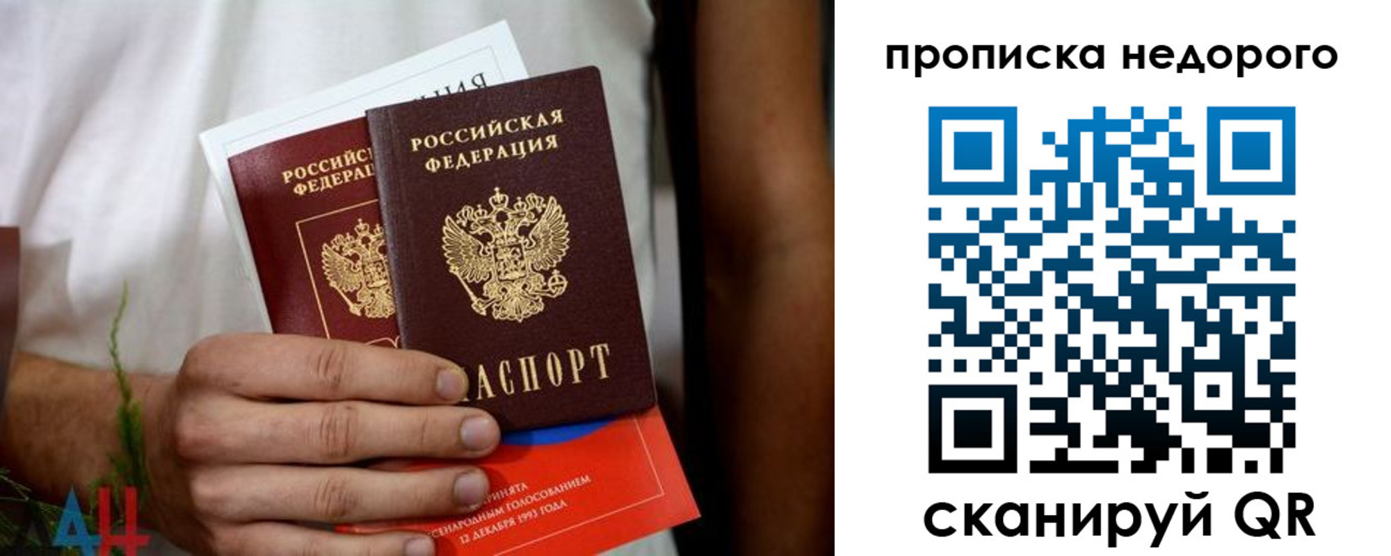 временная регистрация для всех в Светлогорске